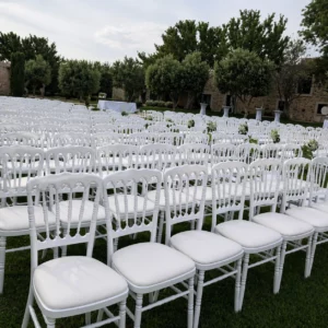Chaises napoléon
