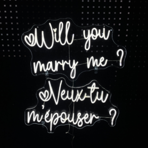 Led "Veux-tu m'épouser"