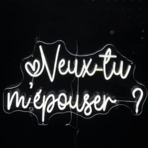 Led "Veux-tu m'épouser"