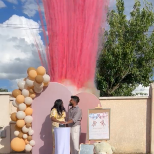 Pack Gender Reveal Artifices